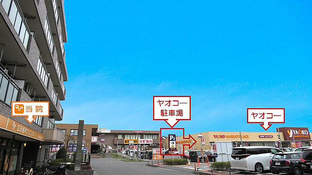 ヤオコー駐車場